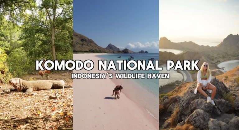 Komodo Island: Ultimate Guide to Indonesia’s Spectacular Wildlife Haven